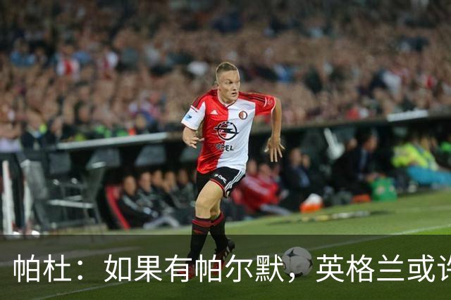 帕杜：如果有帕尔默，英格兰或许能破加纳防守