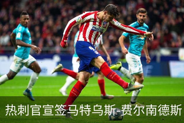 热刺官宣签马特乌斯-费尔南德斯 转会费8500万镑破纪录